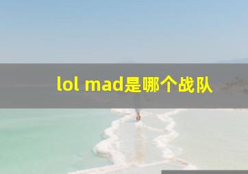 lol mad是哪个战队